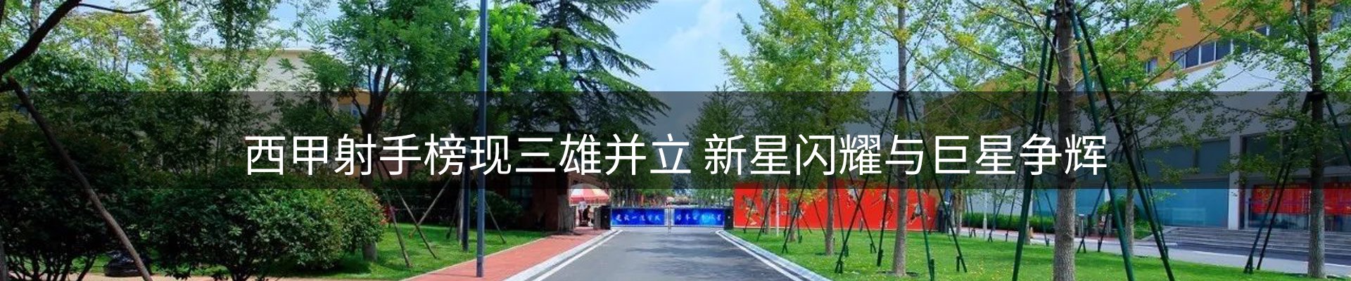 公司导读